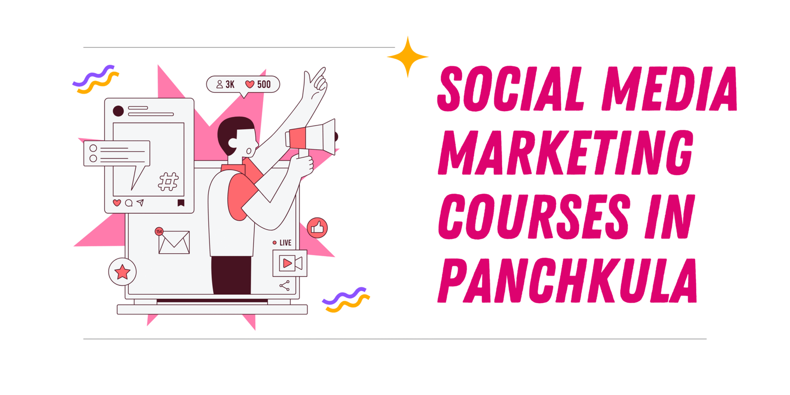 Social Media Marketing Courses in Panchkula